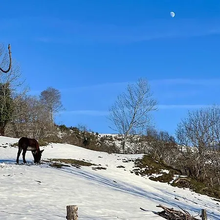 Maison Avec Vue Incroyable Au Coeur Des Volcans D'auvergne Дом отдыха *